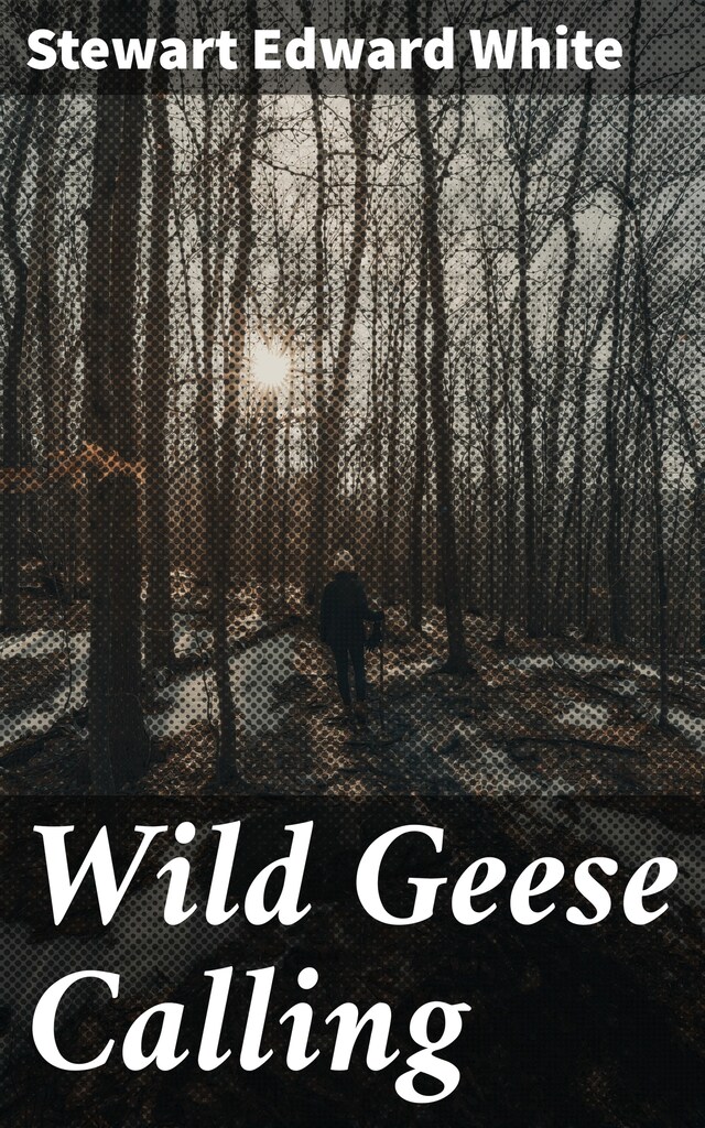 Book cover for Wild Geese Calling