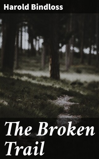 The Broken Trail bookCoverFor