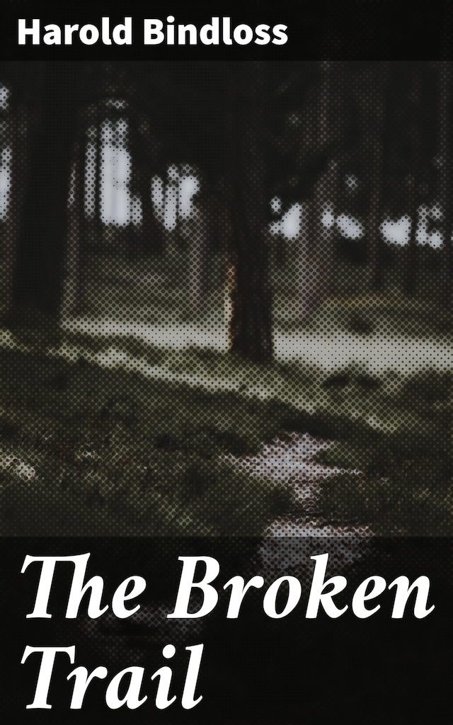 Book cover for The Broken Trail