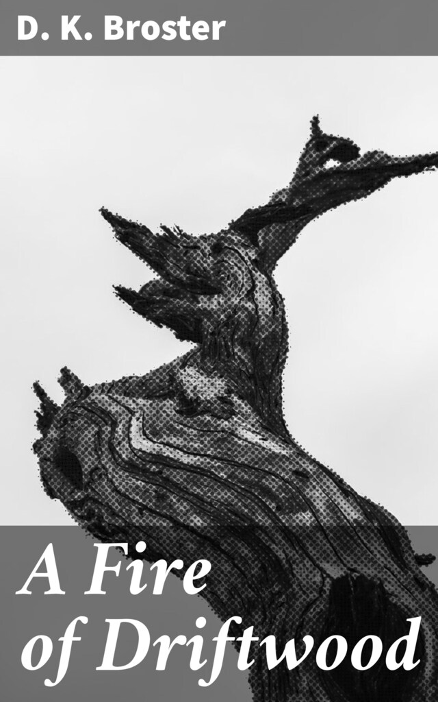 Book cover for A Fire of Driftwood
