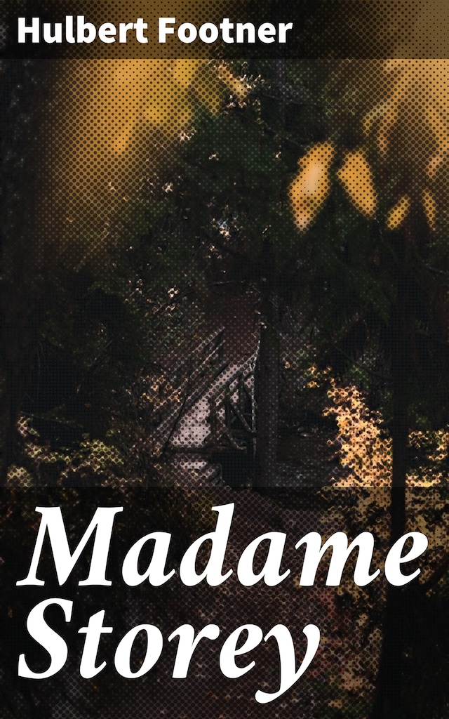 Book cover for Madame Storey