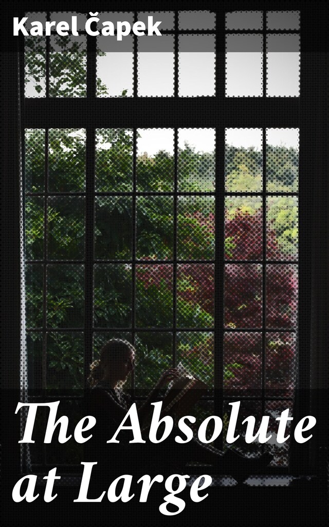 Book cover for The Absolute at Large