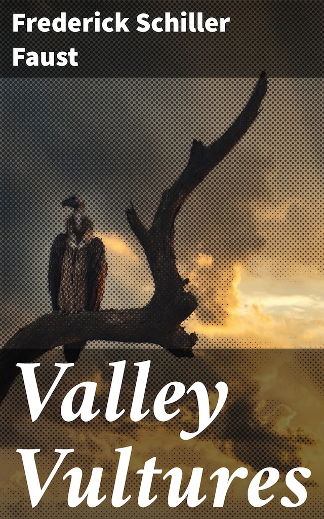 Book cover for Valley Vultures