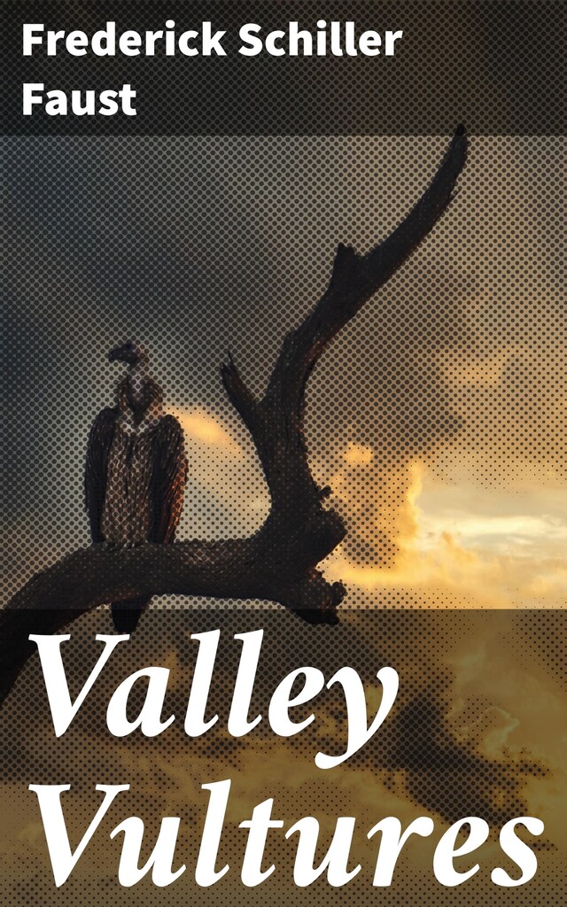 Boekomslag van Valley Vultures