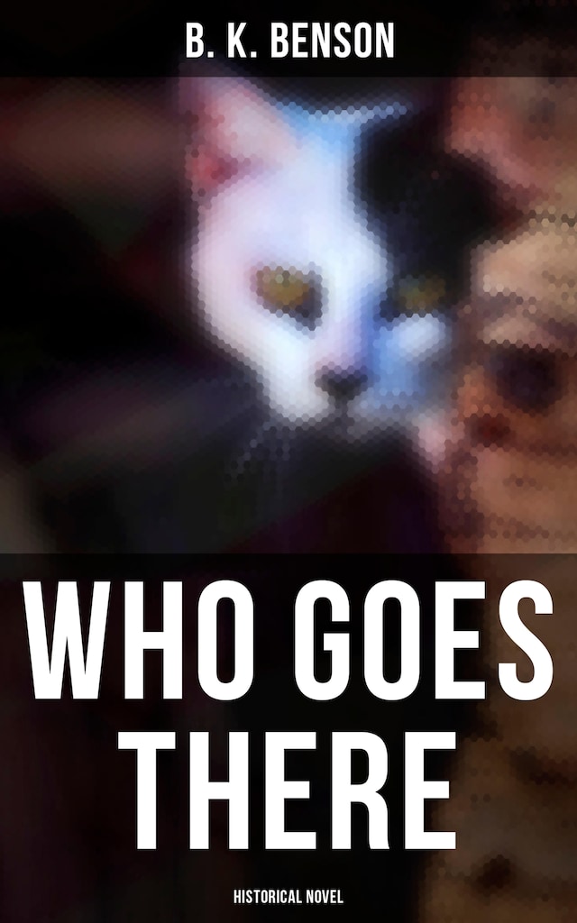 Book cover for Who Goes There (Historical Novel)