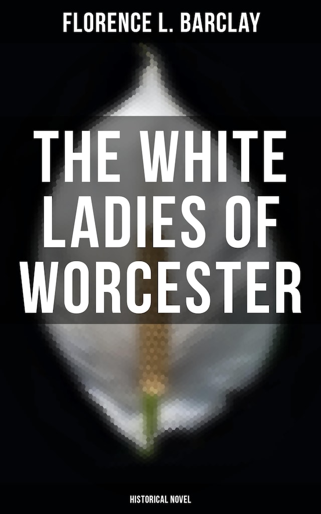 Book cover for The White Ladies of Worcester (Historical Novel)