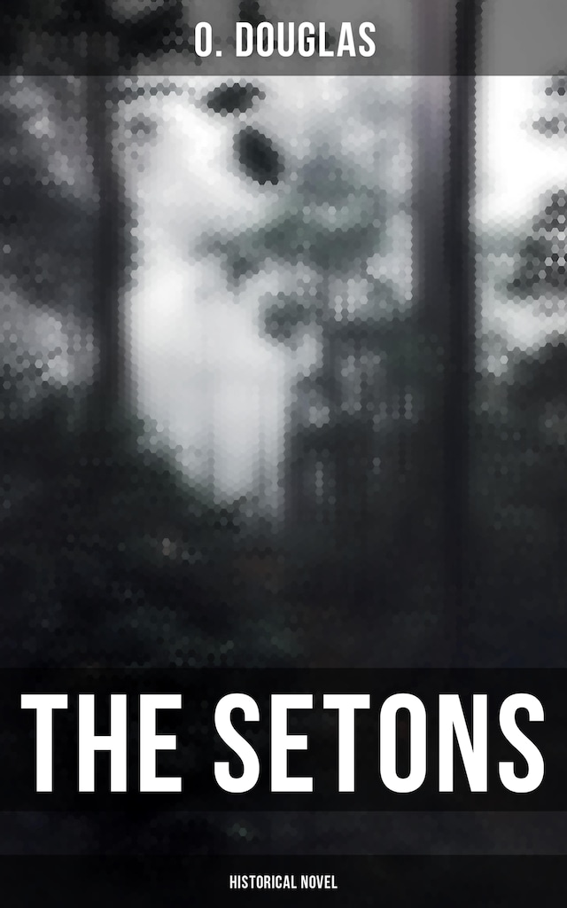 Boekomslag van The Setons (Historical Novel)