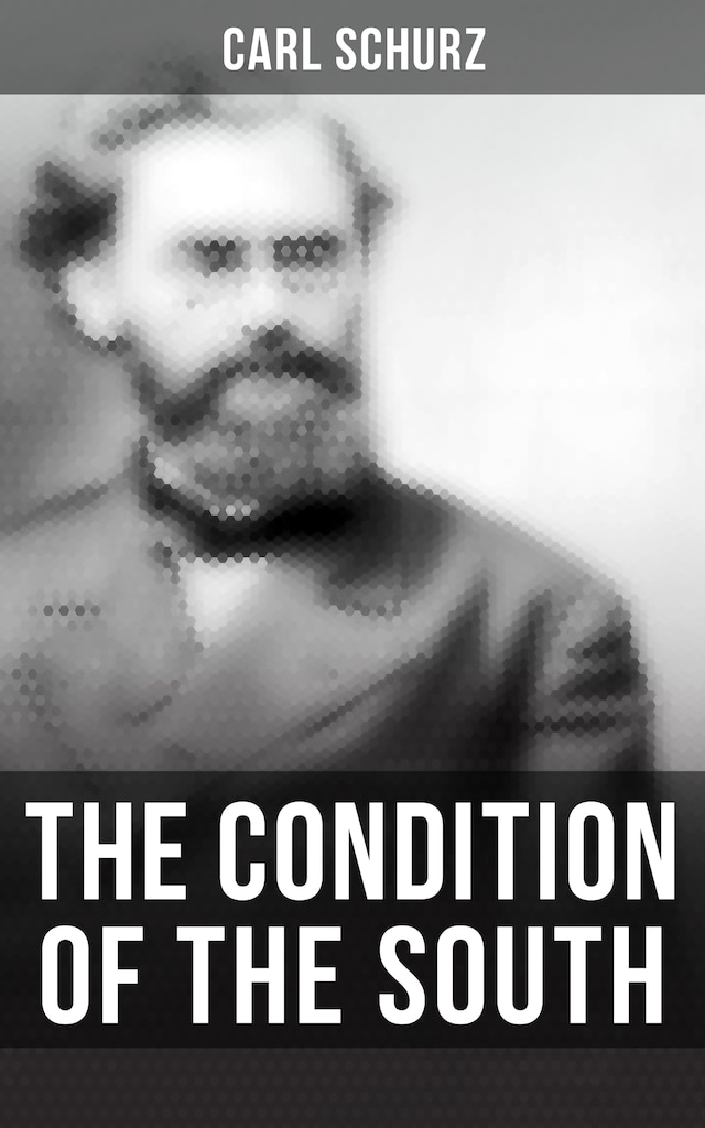 Book cover for The Condition of the South