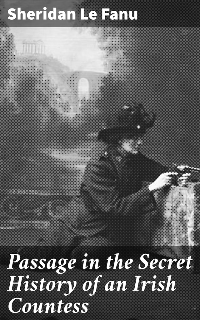 Boekomslag van Passage in the Secret History of an Irish Countess