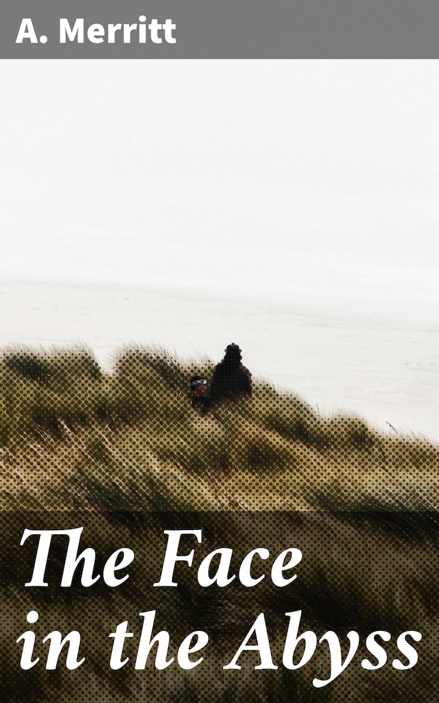 Book cover for The Face in the Abyss