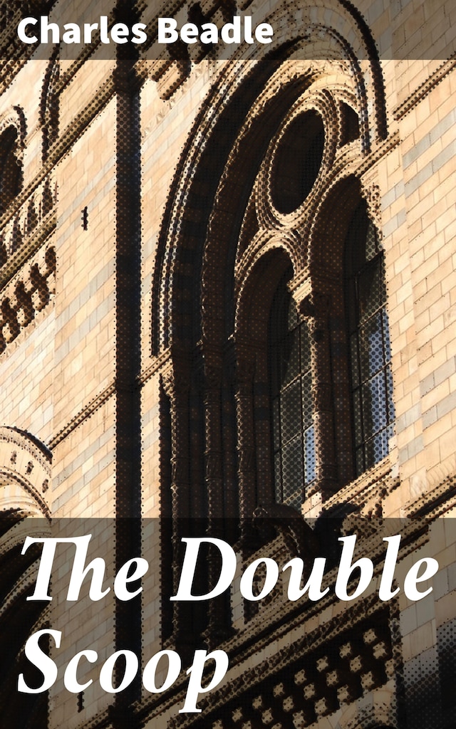 Book cover for The Double Scoop