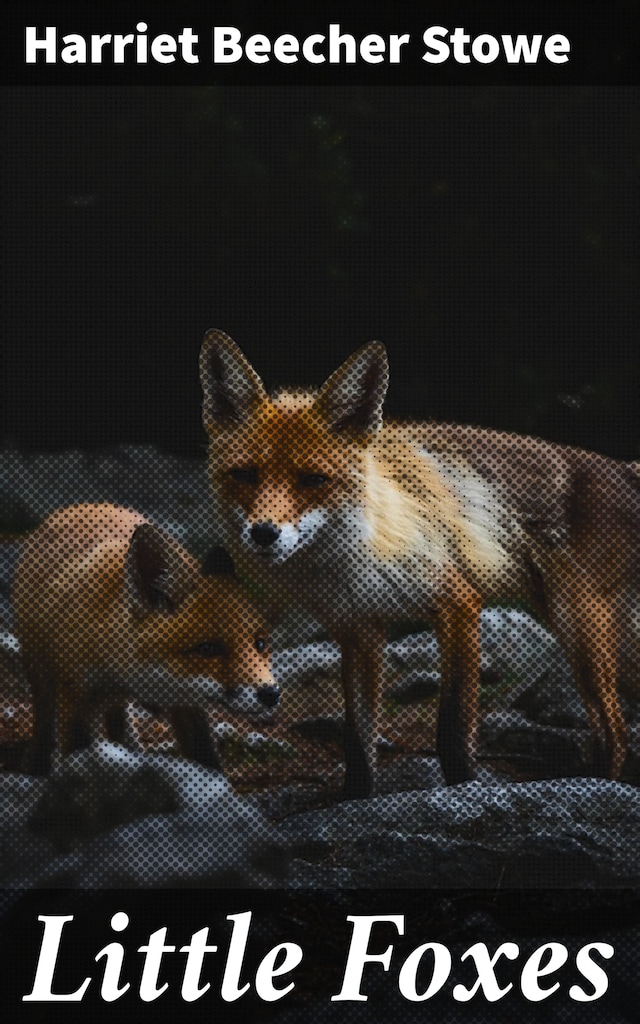 Buchcover für Little Foxes