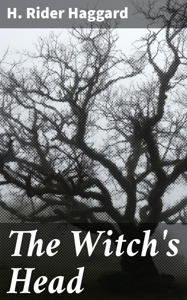 Book cover for The Witch's Head