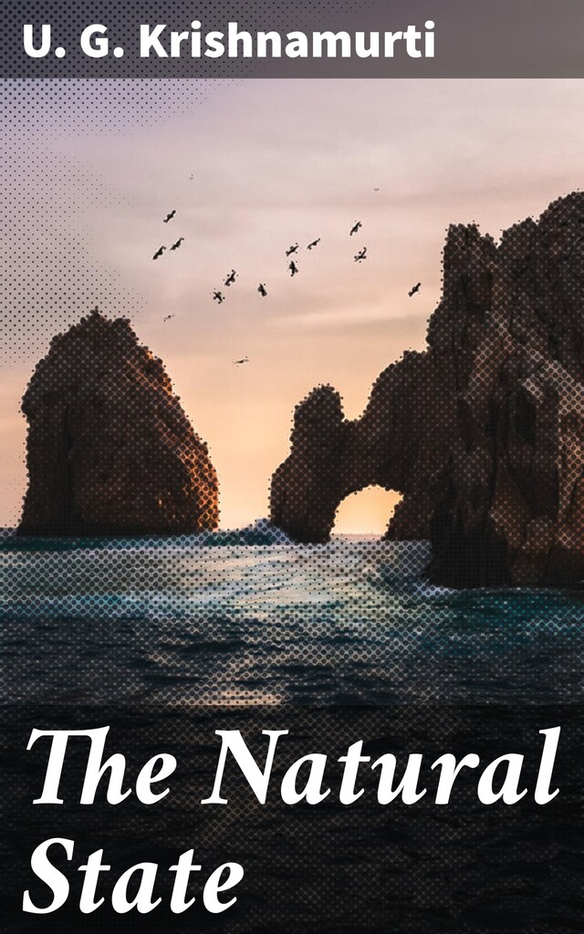 Book cover for The Natural State