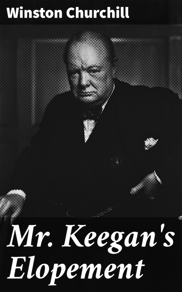 Book cover for Mr. Keegan's Elopement