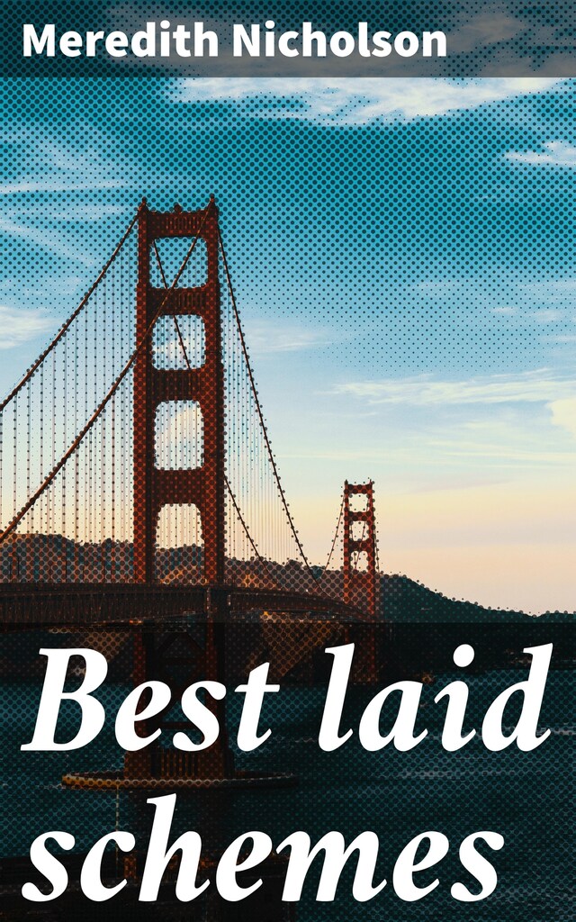 Book cover for Best laid schemes