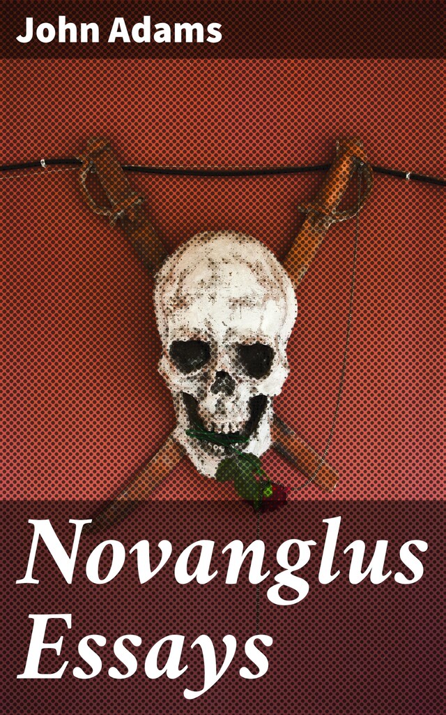 Couverture de livre pour Novanglus Essays