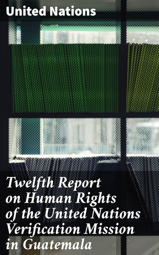 Buchcover für Twelfth Report on Human Rights of the United Nations Verification Mission in Guatemala