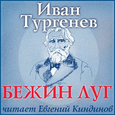 Аудиокнига тургенев