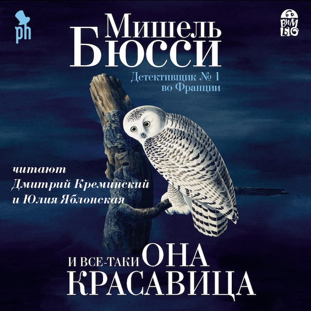 Book cover for И все-таки она красавица