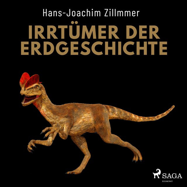 Book cover for Irrtümer der Erdgeschichte