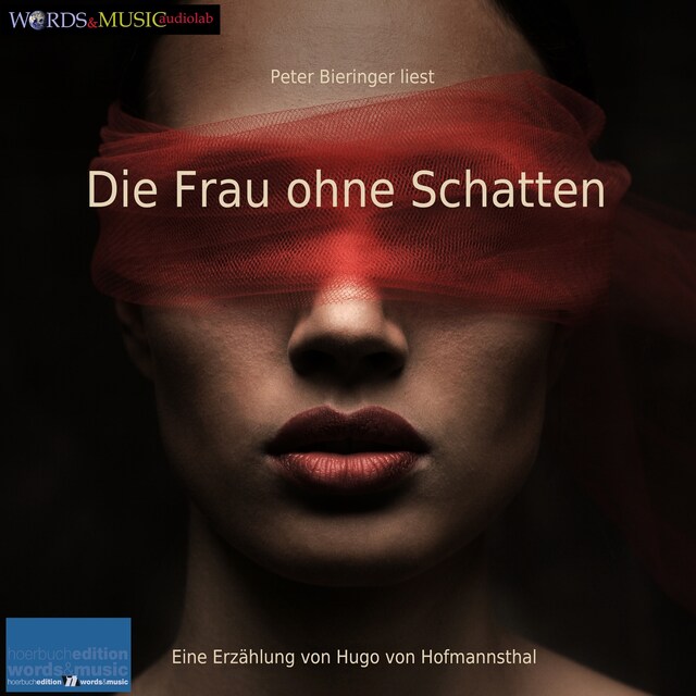 Couverture de livre pour Die Frau ohne Schatten