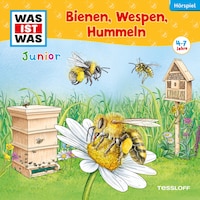 30: Bienen, Wespen, Hummeln