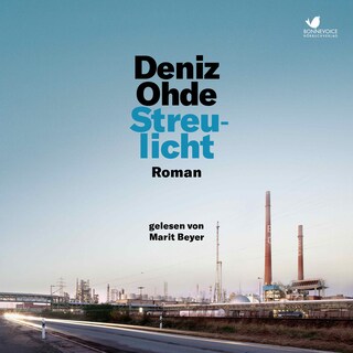 Streulicht als Hörbuch