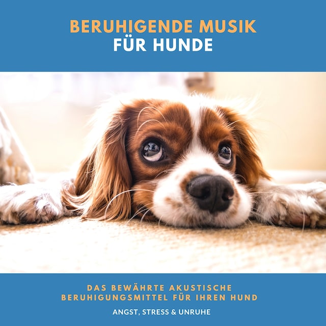 Book cover for Beruhigende Musik für Hunde