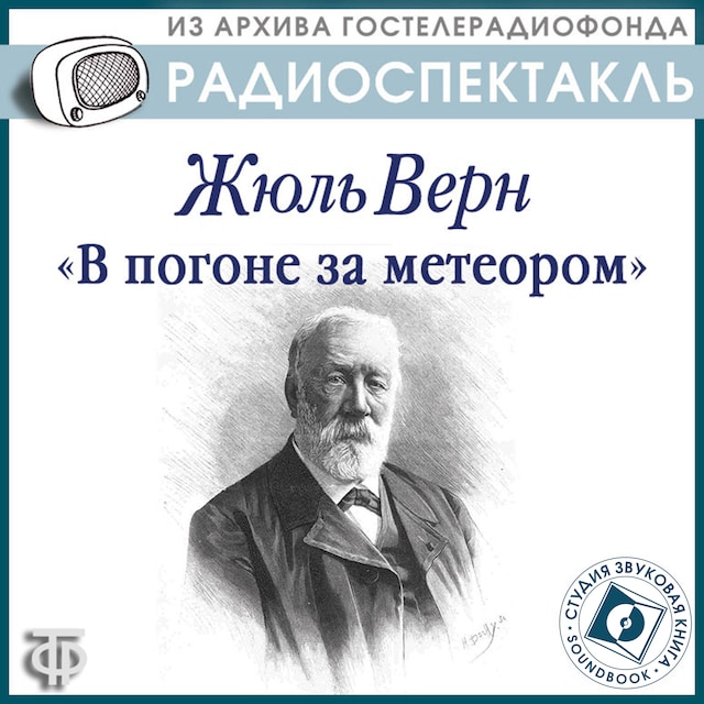 Copertina del libro per В погоне за метеором