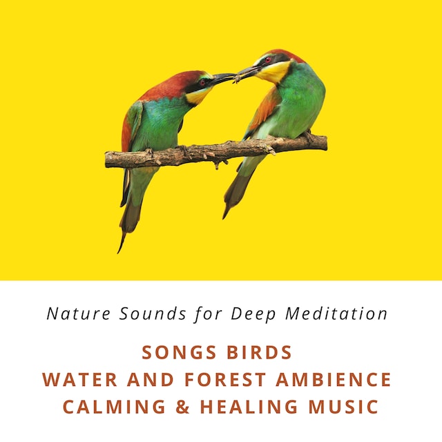 Book cover for Nature Sounds for Deep Meditation: Song Birds, Water & Forest Ambience, Bird Calls, Calming & Healing Music
