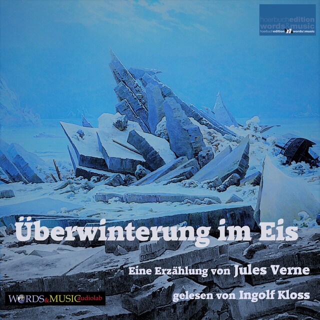Book cover for Überwinterung im Eis