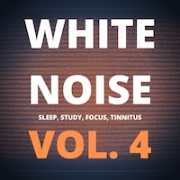 White Noise (Vol. 4)