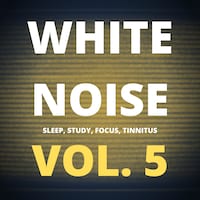 White Noise (Vol. 5)