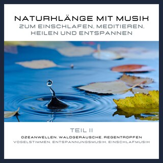 Naturklänge mit Musik zum Einschlafen, Meditieren, Heilen und Entspannen - Teil 2 als Hörbuch