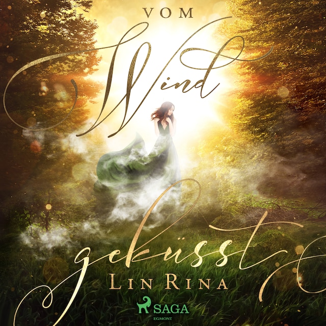 Book cover for Vom Wind geküsst