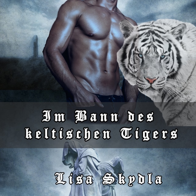 Buchcover für Im Bann des keltischen Tigers