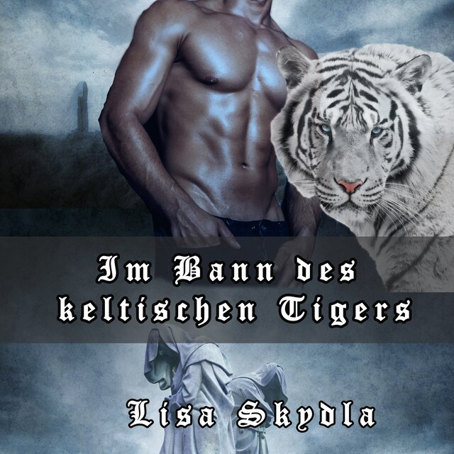 Book cover for Im Bann des keltischen Tigers