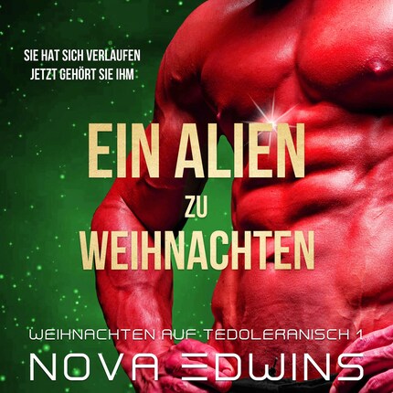 Ein Alien zu Weihnachten bookCoverFor