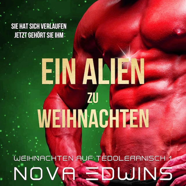 Book cover for Ein Alien zu Weihnachten