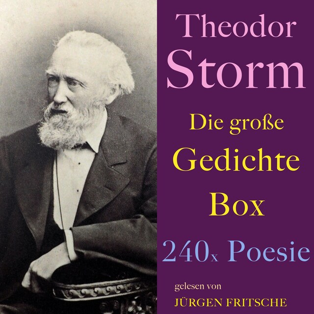 Book cover for Theodor Storm: Die große Gedichte Box
