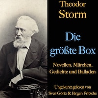 Theodor Storm: Die größte Box