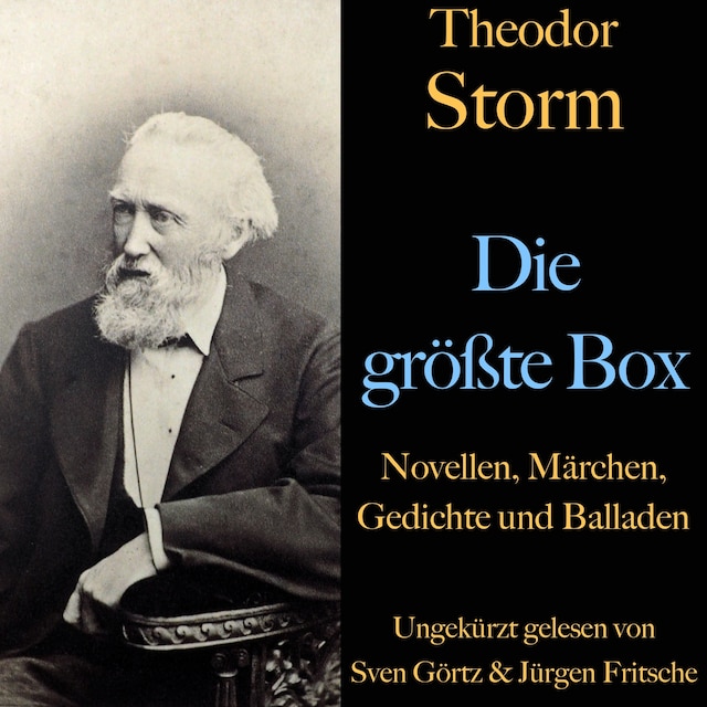 Book cover for Theodor Storm: Die größte Box