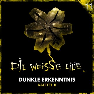 11: Dunkle Erkenntnis - Kapitel II als Hörbuch