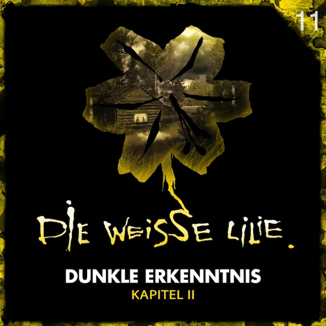 Book cover for 11: Dunkle Erkenntnis - Kapitel II
