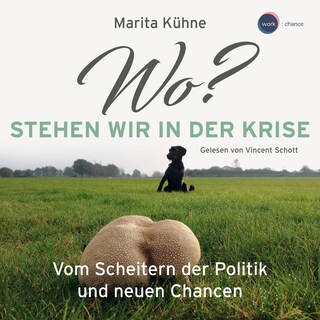 Wo? Stehen wir in der Kris - Vom Scheitern der Politik und neuen Chancen (ungekürzt) als Hörbuch