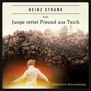 Junge rettet Freund aus Teich (ungekürzt) als Hörbuch