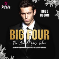 Ein Anwalt fürs Leben - BIG FOUR, Band 4 (ungekürzt)