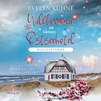 Winterstürme - Willkommen im kleinen Ostseehotel, Band 1 (ungekürzt)