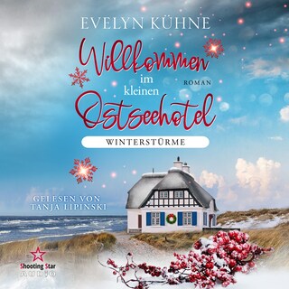 Winterstürme - Willkommen im kleinen Ostseehotel, Band 1 (ungekürzt) als Hörbuch